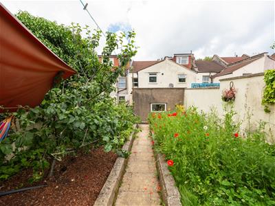 Picture 25